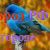  QR-��� �� ����? ����� �������!
